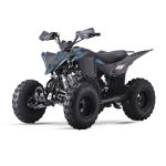 QUAD KONDOR 125 LEM MOTOR